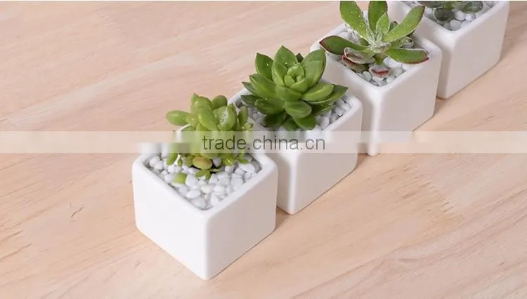 Indoor 2 inch small rectangular white ceramic planters for succulents