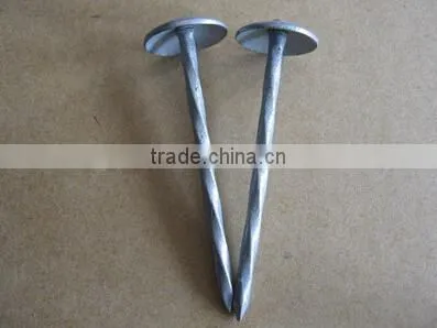 High quality polished umbrella roofing nails in China