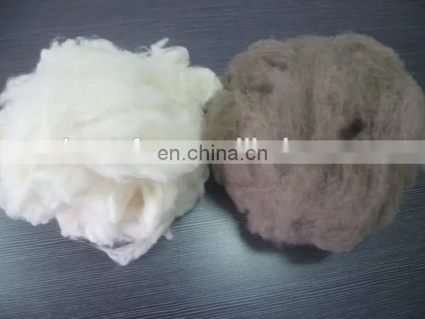 carded and dehaired raccoon hair for spinning