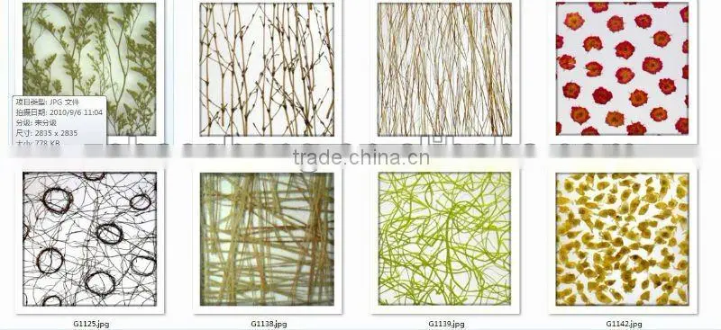 2013 popular translucent polyester resin sheet