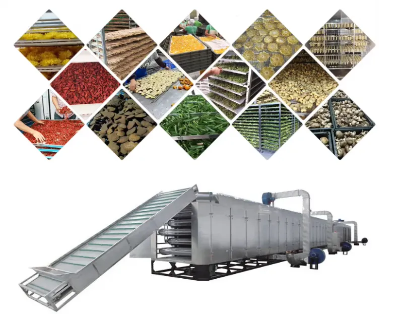 Stainless Steel Nuts Hot Water Blancher Potato Sweet Corn Mangoes Kiwi Chips Boiling Blanching Machine for Jute Leaves
