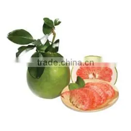 Viet Nam Tropical Tea Joint Stock Company company overview - view 3