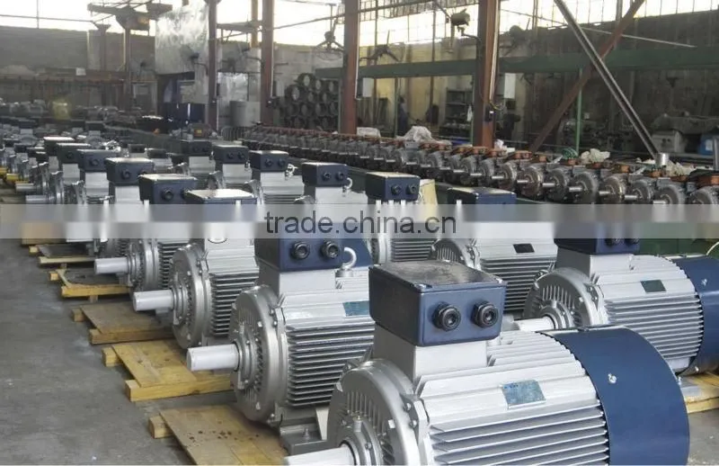 Variable speed electric motors, electric dc motor