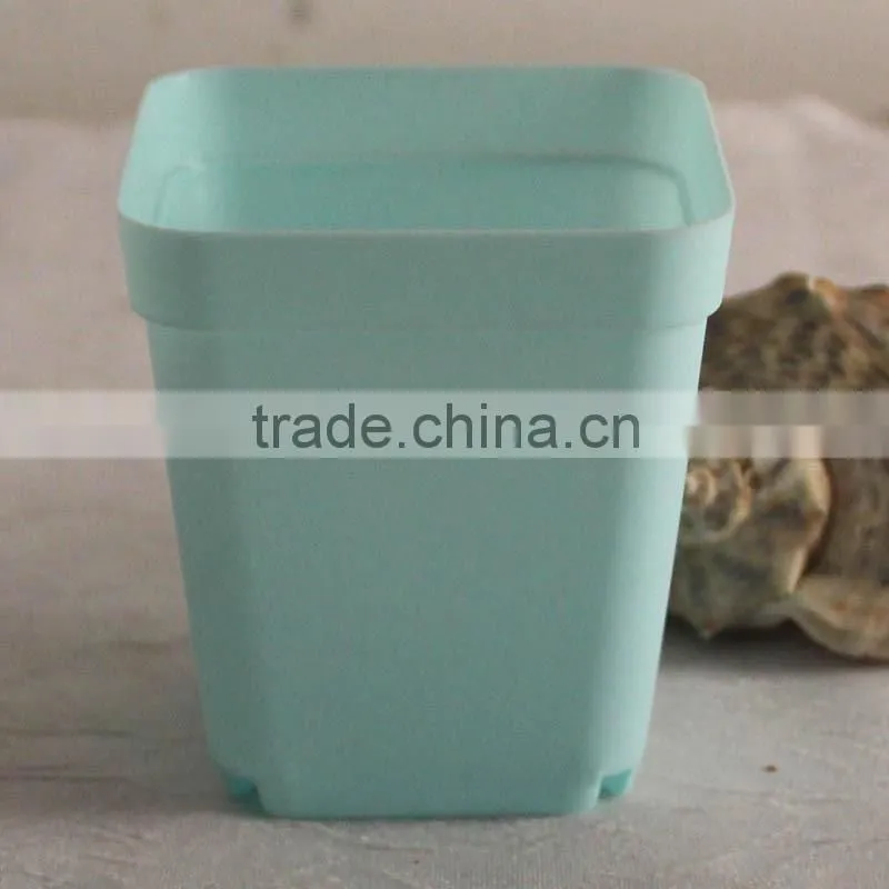 mini PP plastic flower pot colorful