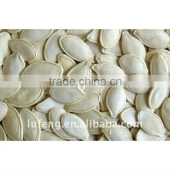New Crop 2012 Chinese Green Pumpkin Seed kernel