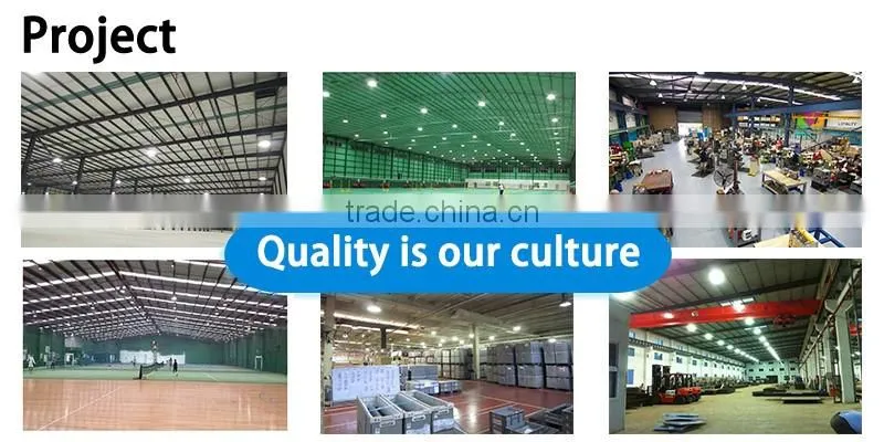 High efficiency good price induction lamps from 80watt to 400watt