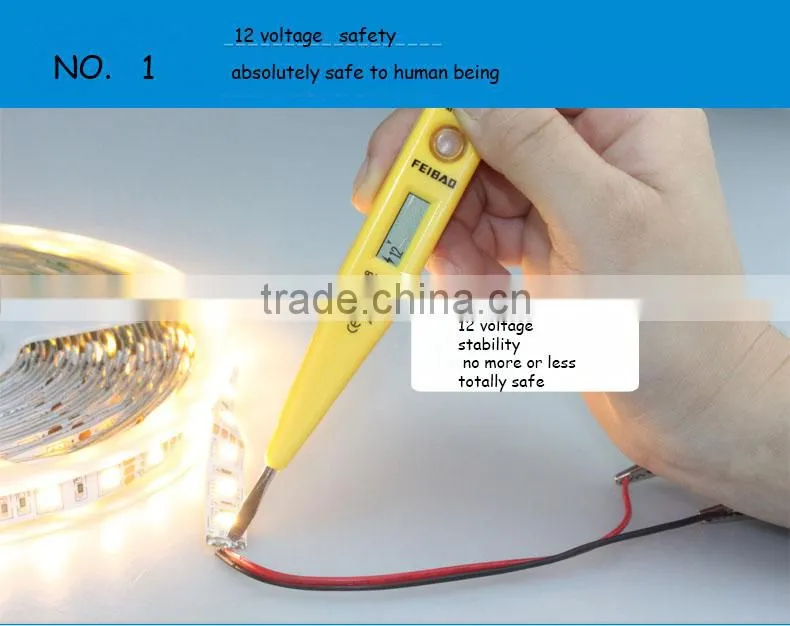 festalight UL CE RoHS certified SMD5050 chips warm white RGB flexible led strip light 220V 60 led per meter DC12V SMD3528