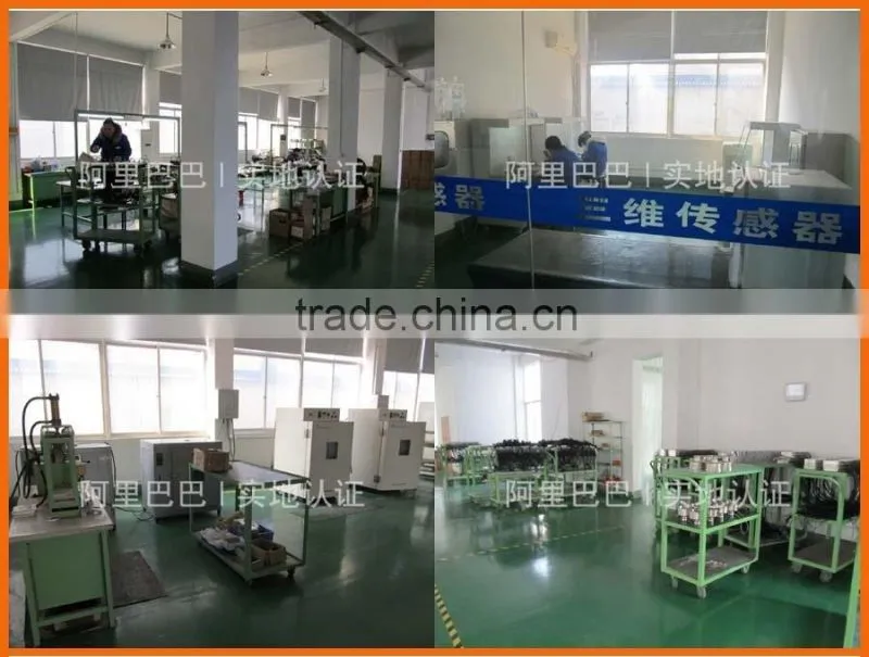 S Type Load Cell With high accuracy(TSE)(100kg~20t)