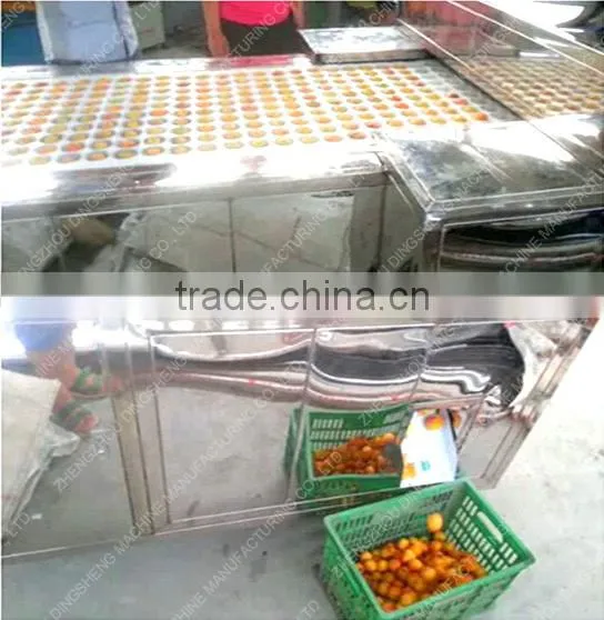 High pitting rate longan fruit pitter machine