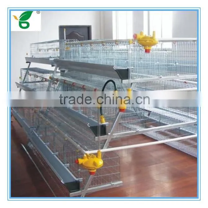 galvanized a type battery chicken hen coops for sale