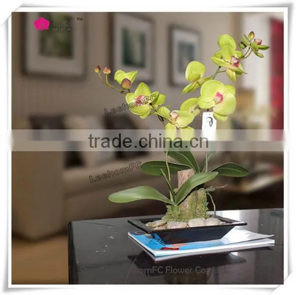 Lifelike Orchids Wedding Wholesale Potted Flower For Sale