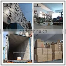 Zhongshan Gammalux Lighting Co.,ltd. company overview - view 1