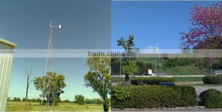 Small Wind System For Home-1000W