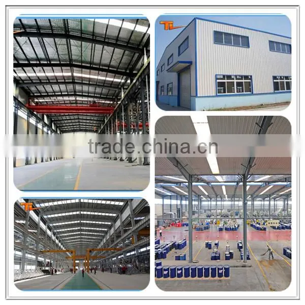 Steel Frame Fabric Workshop Plant