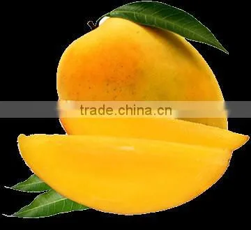Supplier of Mango Pulp