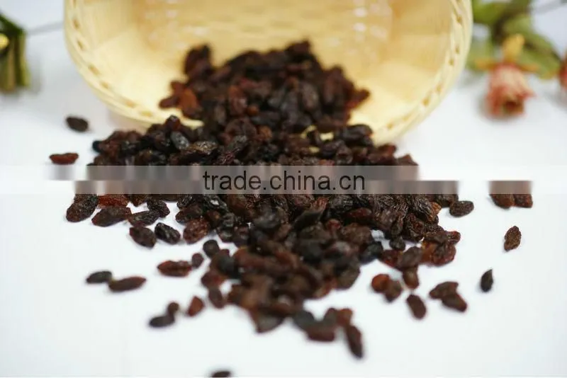 Golden sun raisins, hand selected quality