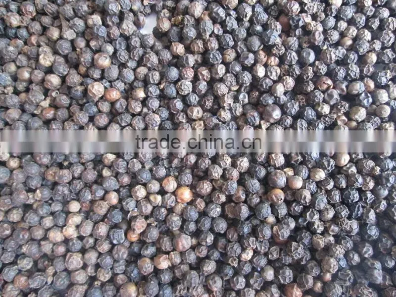 Black Pepper FAQ from Vietnam