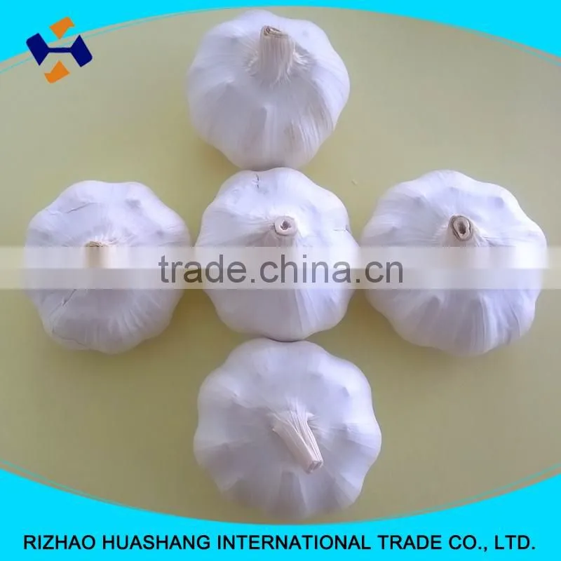 white garlic size4.0cm