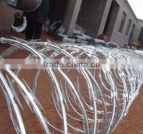 wholesale CBT-65 hot-dipped galvanized razor barbed wire
