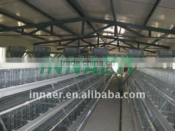 Layers/broilers automatic chicken feeding equipment