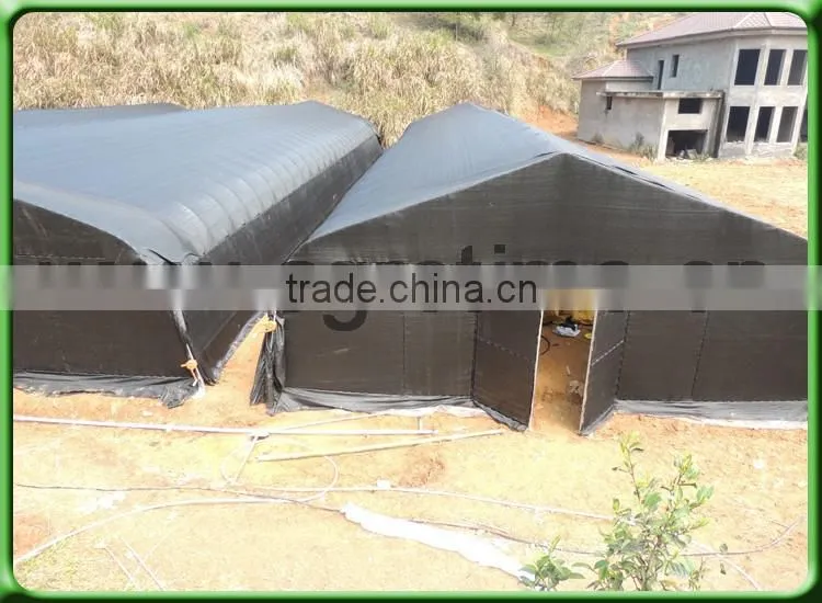 Mushrooms Greenhouse for agriculture farming