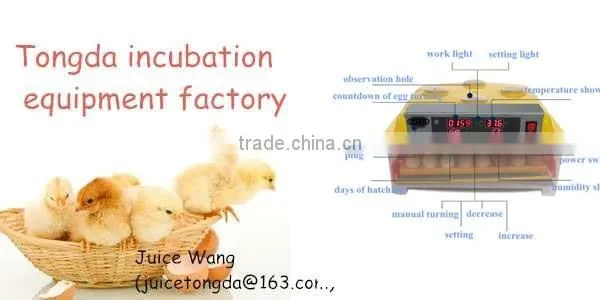 Good price automatic incubator hatcher 56 eggs incubator for sale WQ-56