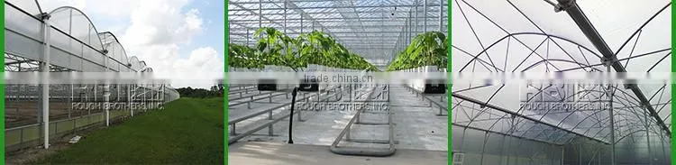 PC sheet greenhouse glass greenhouse Venlo greenhouse for research and exhibition