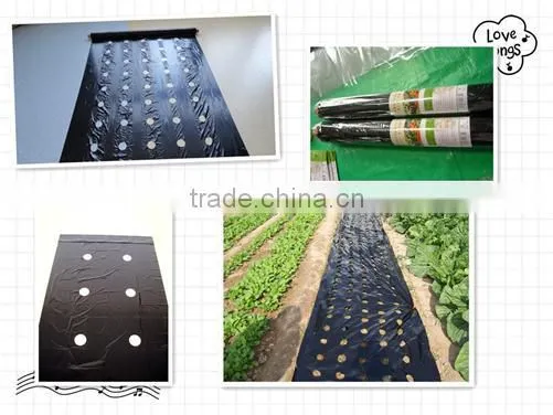 LDPE black rolls agriculture mulch film