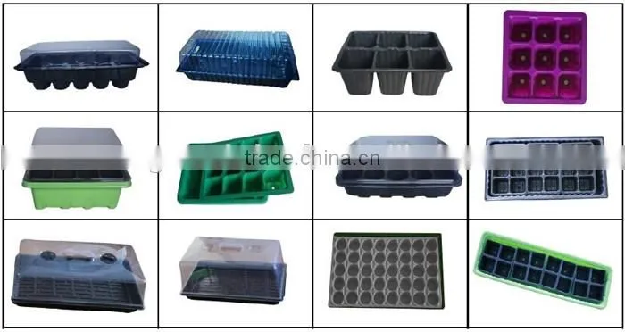 China Supplier PS material 21,32, 50, 72, 98, 105, 128 150 162 200 288 cells plastic trays plant nursery