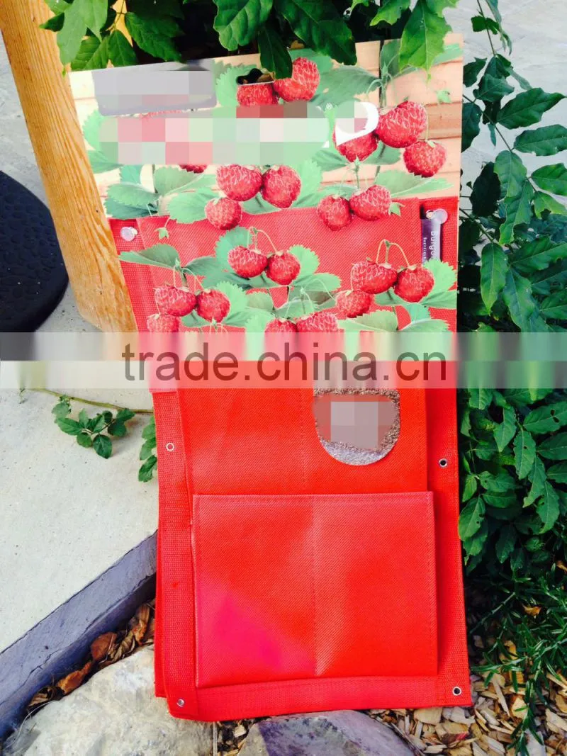 Strawberry Vertical Garden 3-Pockets Grow Bags