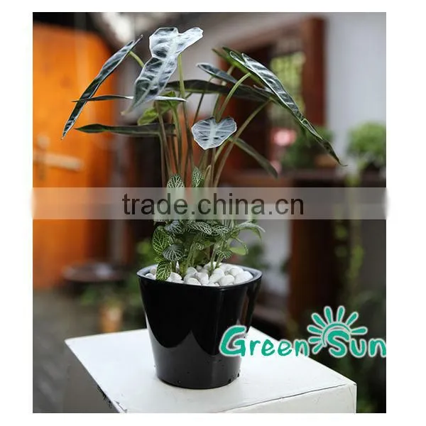 Hot sale!plastic flower pot orchid phalaenopsis soft seedling pot wholesale