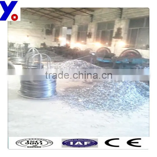 polished common nail factory nail