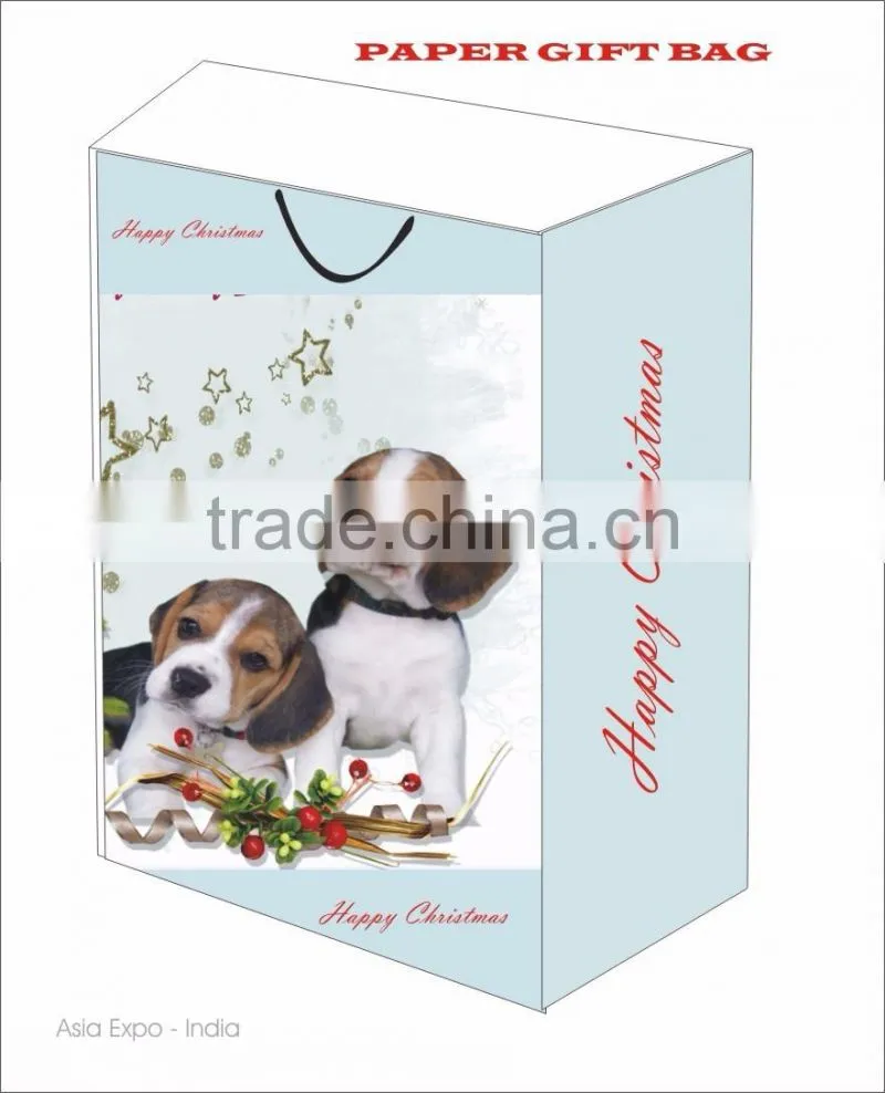 Gift Paper Shopping Bag