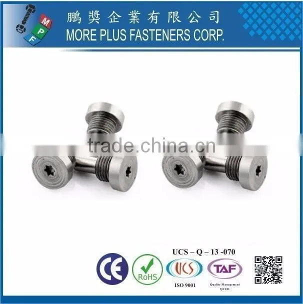 Taiwan Stainless steel 18-8 Chrome plated steel Nickel plated steel Copper Brass Special Rivet and Screw