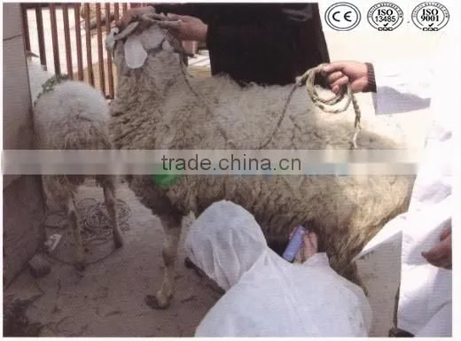 Good price animal pregnancy test equipment horse pregnancy test