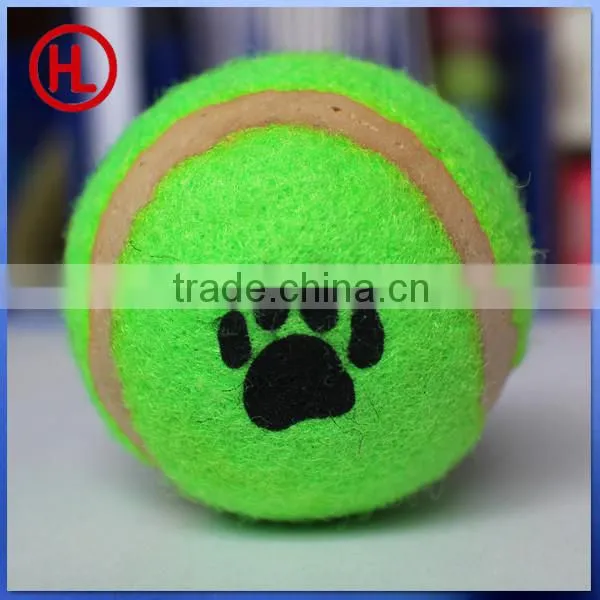 pooch selfie ,dog selfie with pet tennis ball set