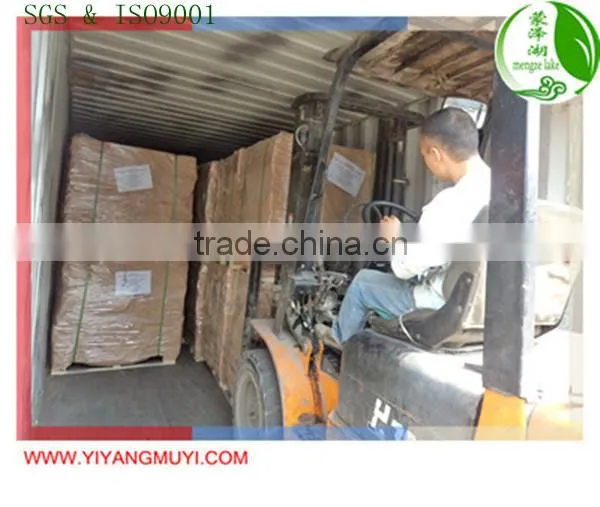 Plastic holder bed slats