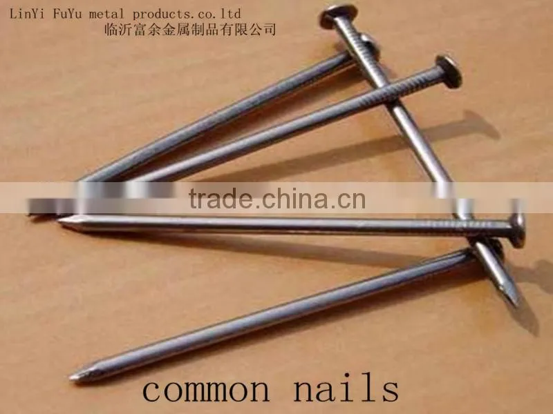 polished carbon steel common nails with smooth shank