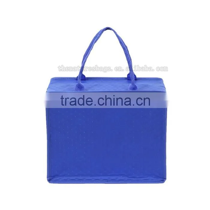 Luxury Quality Top Sale Professional Factory Supply Packaging Small Electric Cooler Bag For Medication