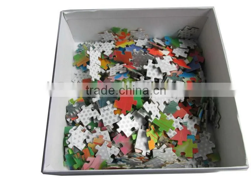 Hot sale Factory Kids funny PET 3D puzzle