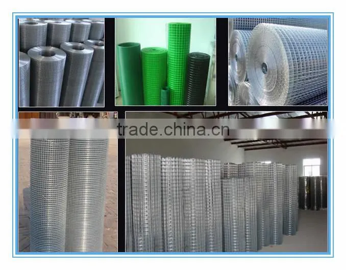 Alibaba Supplier PVC Coated or Galvanized Welded Wire Mesh