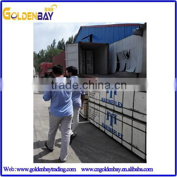 MARINE PLYWOOD FOR Middle EAST