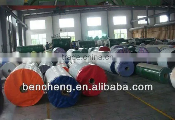 Cotton Biscuit Webbing