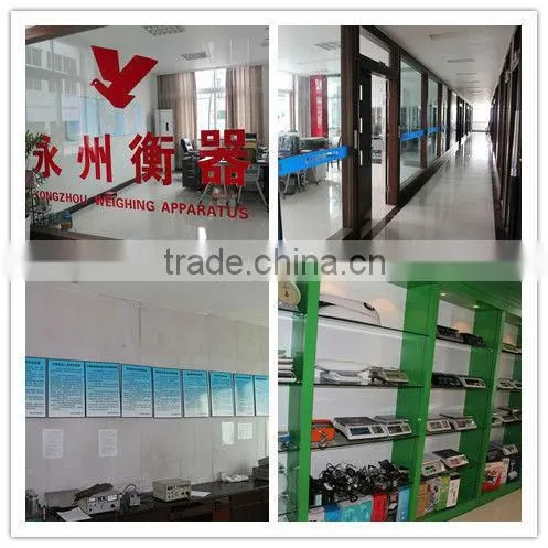 2015 Yongzhou coin electronic counting scale Yongkang