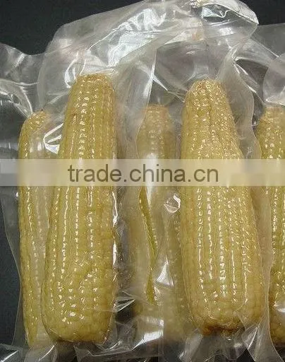 Automatic Double Chamber Vacuum Packaging Machine