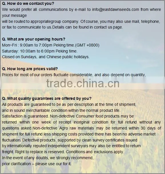China high quality confectionary and bakery hulled sunflower seeds kernels