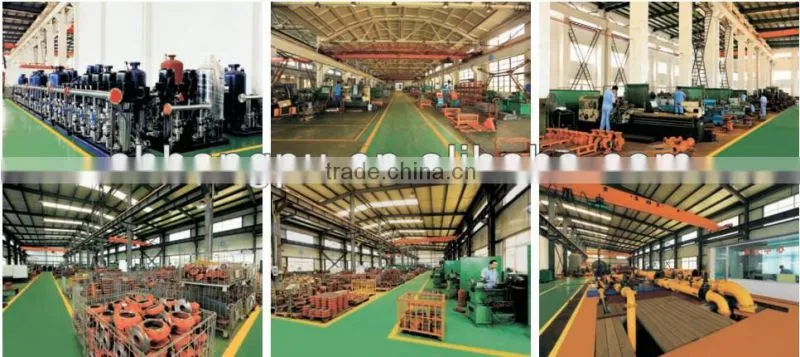 Small Submersible Pump