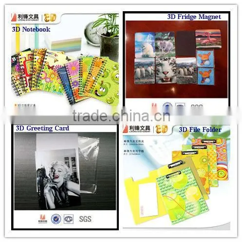3D Lenticular insert changeable photo with desk paper frame