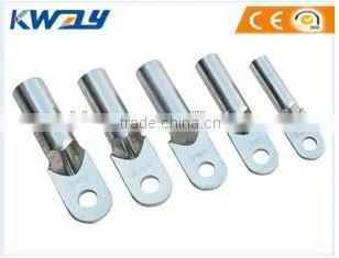China DIN ALUMINIUM LUG(AU SERIES)