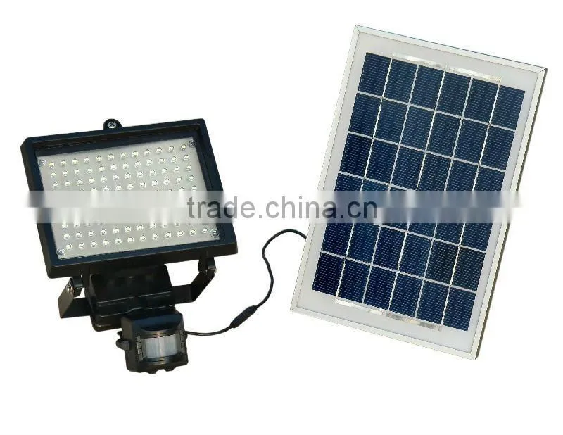 Solar Motion Sensor Light